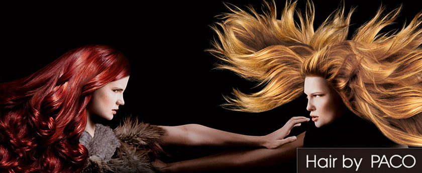 Hairdresser Cologne - the hairdresser in Cologne - your top hairdresser from Cologne - Hair by PACO